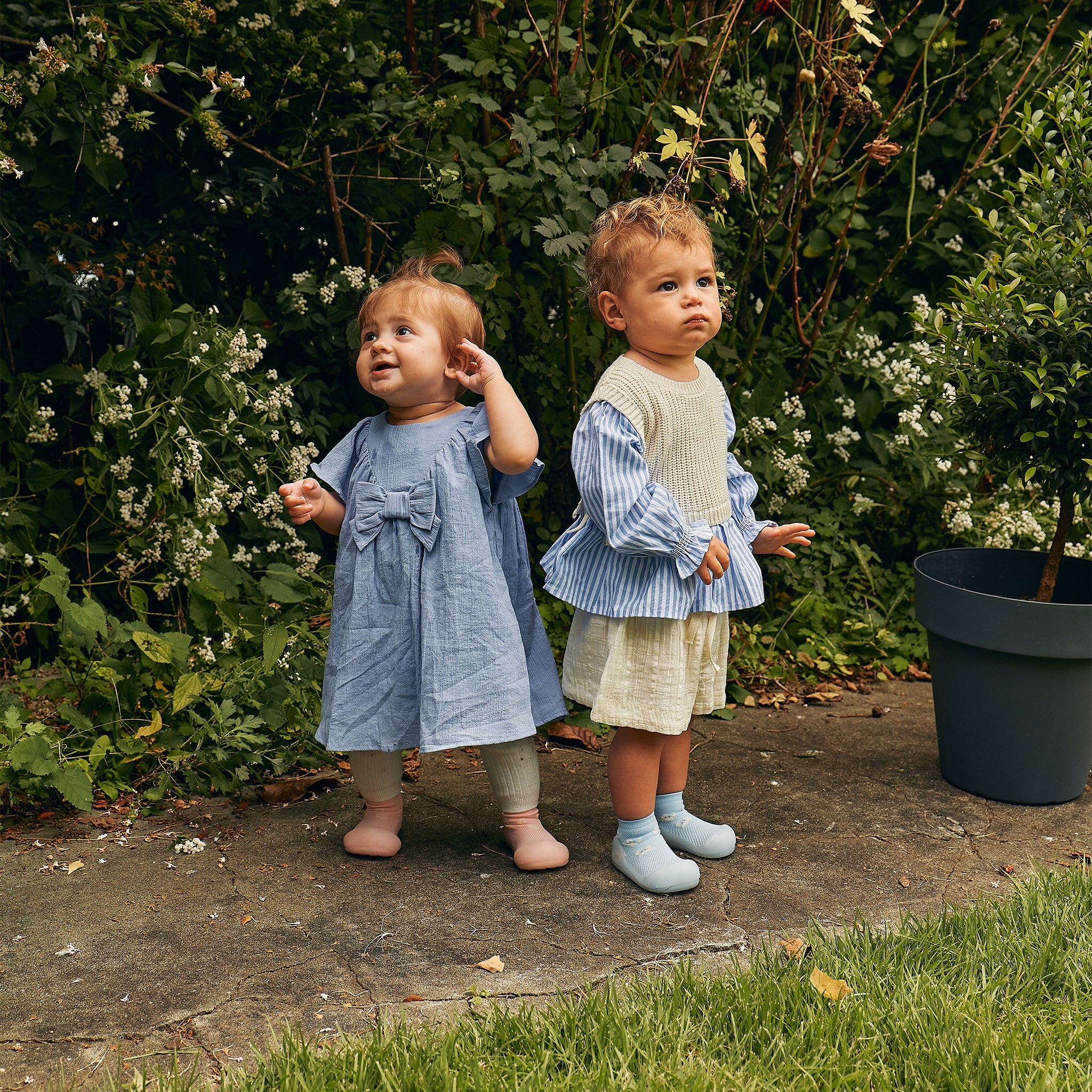 アティパス 25SS ベイビーシェル