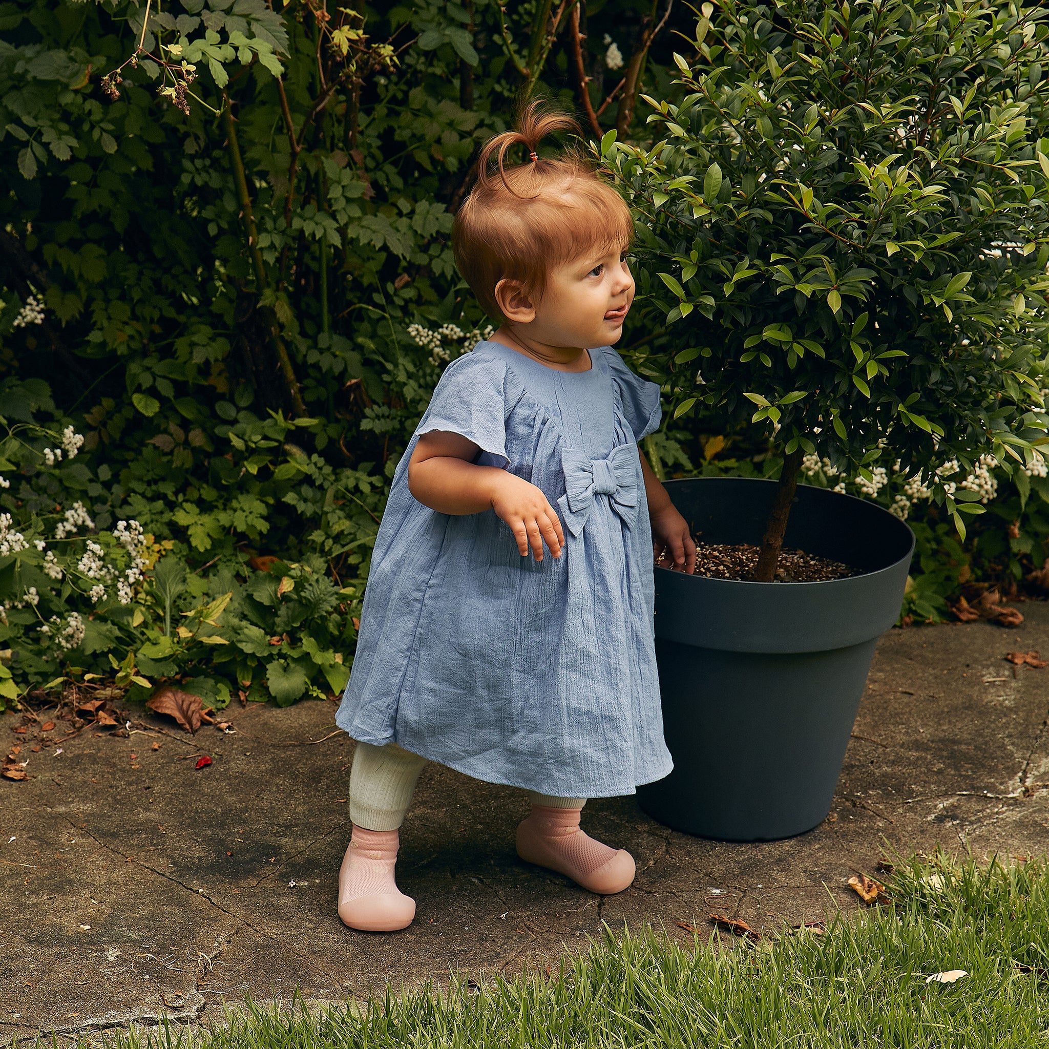 アティパス 25SS ベイビーシェル