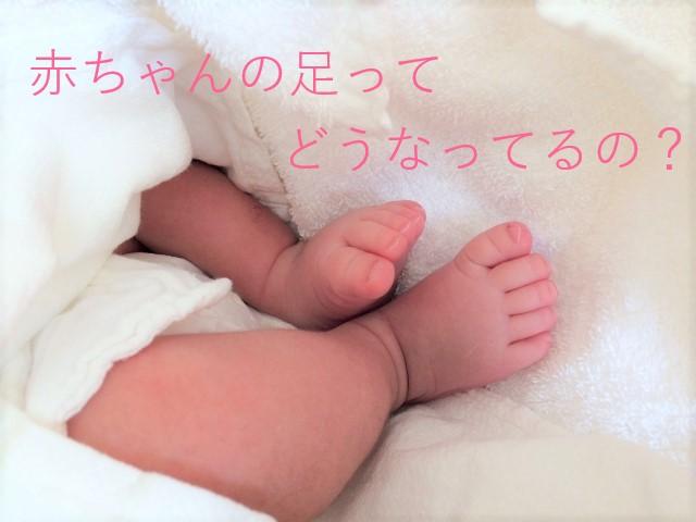赤ちゃんの足ってどんな足？ - attipas Japan