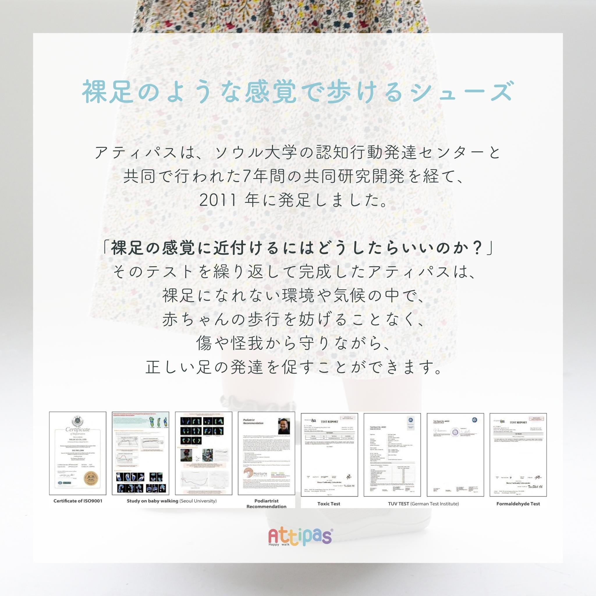 【発売開始前】Summer Time（サマータイム）[A26SU]